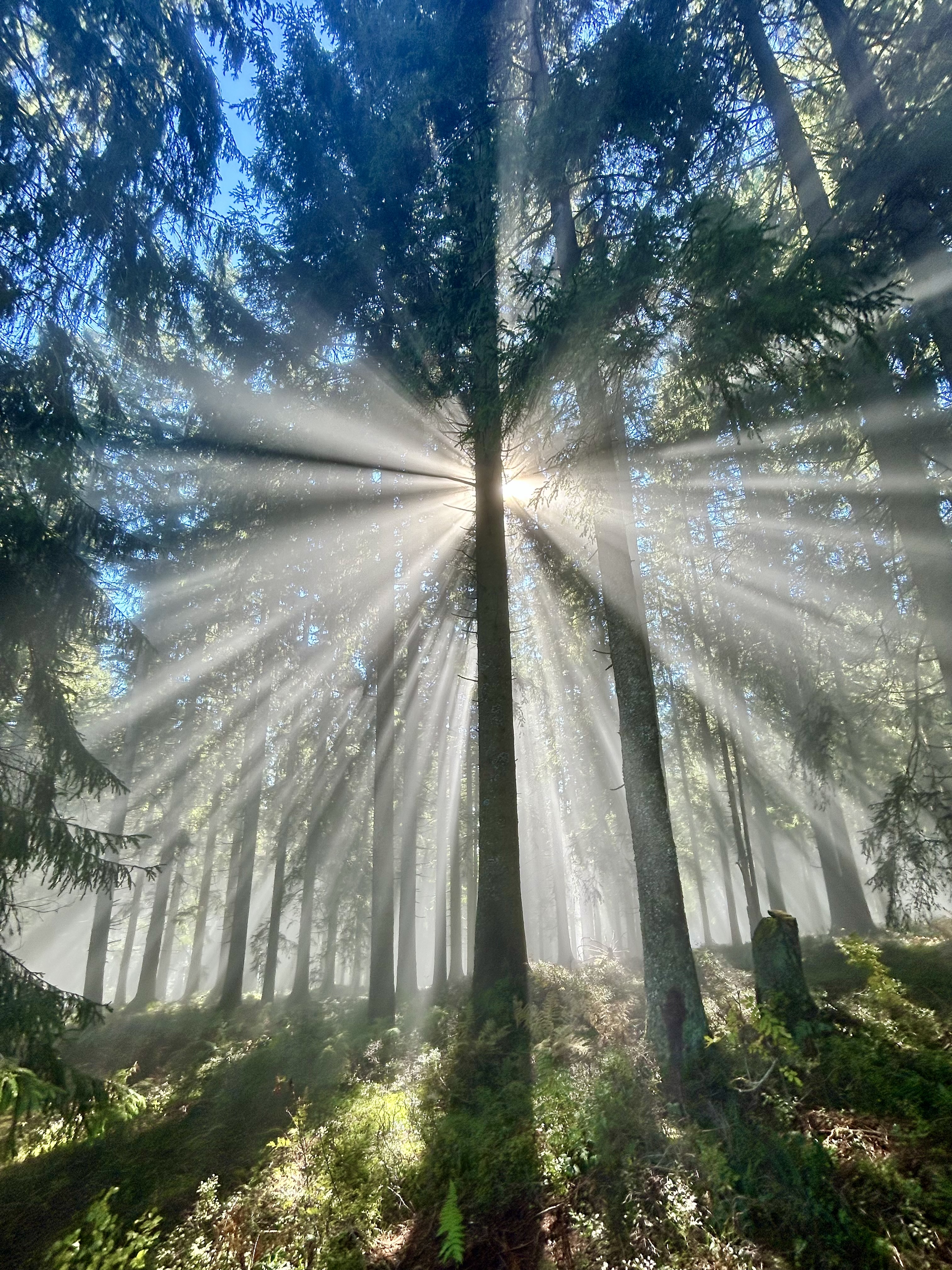 Jay Synflood - empowerment